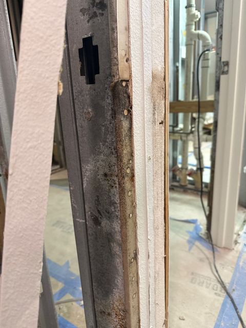 Mold-stained stud beside a door frame, and a blue dehumidifier running in the opened room.